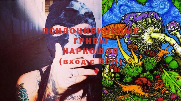 PSILOCYBIN Алексеевка