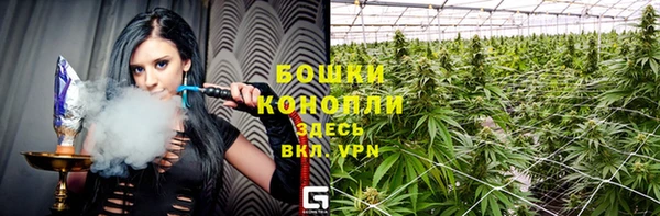 PSILOCYBIN Алексеевка