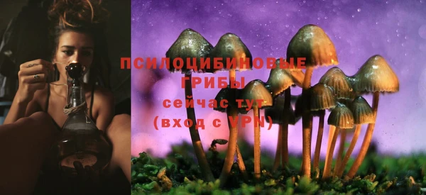 PSILOCYBIN Алексеевка