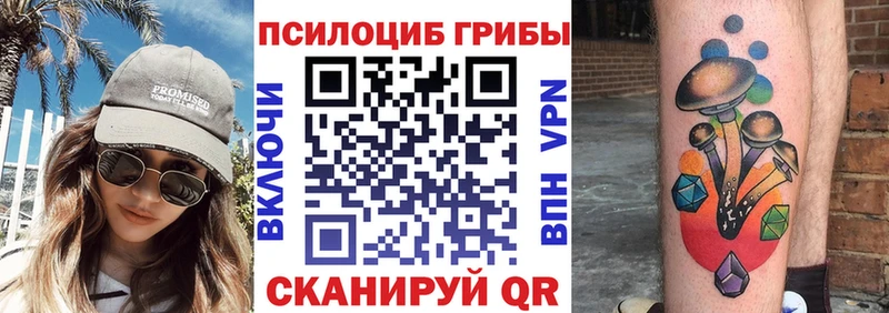 Псилоцибиновые грибы мухоморы  купить закладку  Старая Купавна 